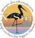 X/Stra – Groupe des informaticiens sup-recherche région Alsace